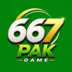 667 Pak Game Logo Image