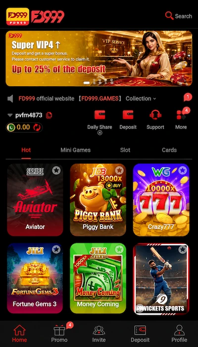 FD 999 game dashboard image