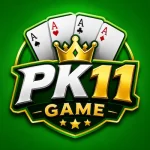 PK11 Game Logo image