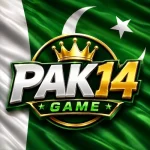 Pak14 Game Logo Image