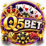 Q5BET Game logo image