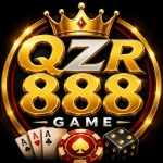 QZR 888 Game logo image