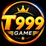 T999 Game Logo image
