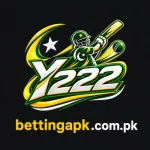 Y222 Game logo image