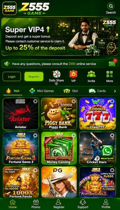 Z555 Game Dashboard Image