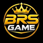 BRS Game logo image