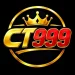 CT999 Game logo image