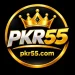 pkr55 game logo image