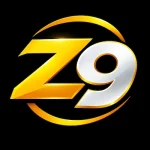 Z9 Game logo image