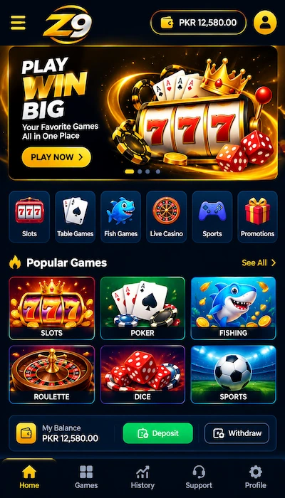 Z9 Game Dashboard image