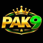 PAK9 Game logo image